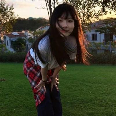 最后的荒野封面